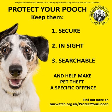 Protect Your Pooch